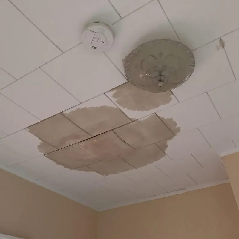 Ceiling Water Damage Repair in Earlston, PA