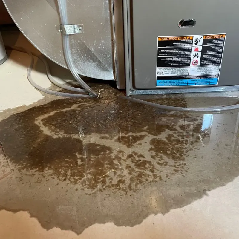 Pipe Burst and Leak Restoration in Earlston, PA