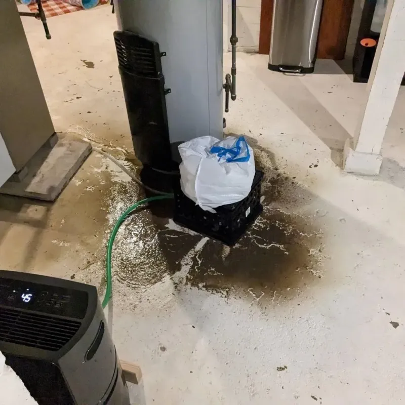 Sewage Backup Cleanup Service in Earlston, PA